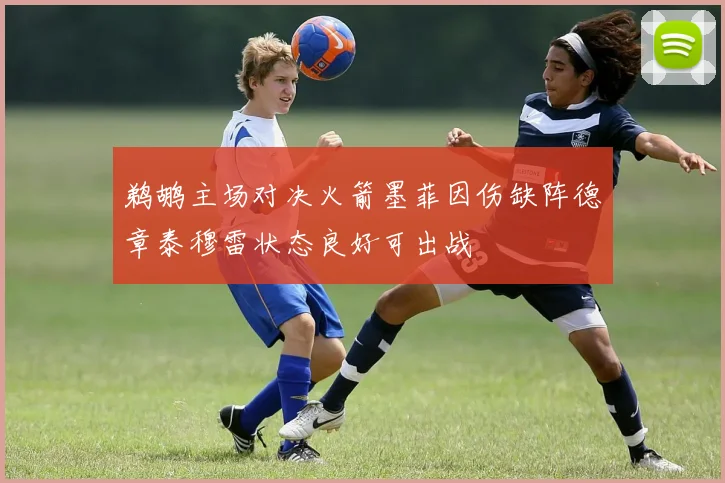 鹈鹕主场对决火箭墨菲因伤缺阵德章泰穆雷状态良好可出战